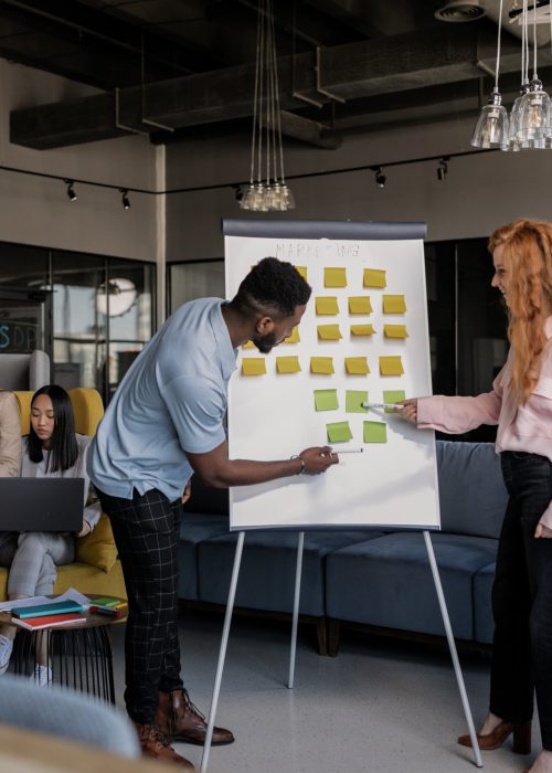 pexels-alena-darmel-7710076_2